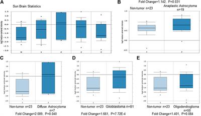 TRPM7 Induces Tumorigenesis and Stemness Through Notch Activation in Glioma